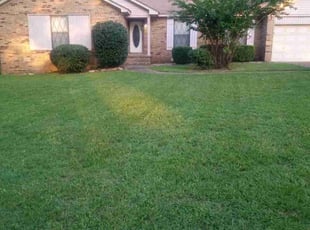 Dedrick R.'s Lawn Mowing Service service result