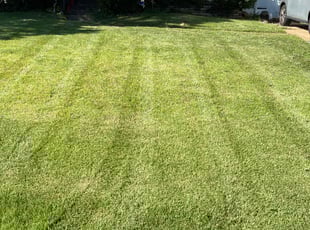 Julie P.'s Grass Cutting service result