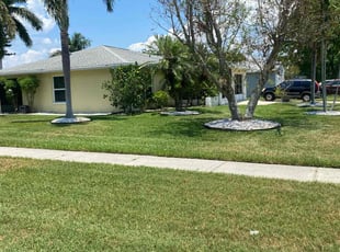 Amzi W.'s Lawn Care service result