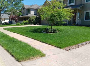 Jennifer T.'s Lawn Maintenance service result