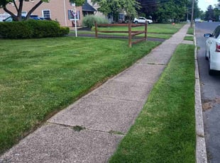 Stanley P.'s Lawn Mowing Service service result