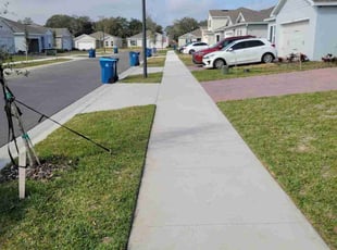 Anthony F.'s Lawn Care service result