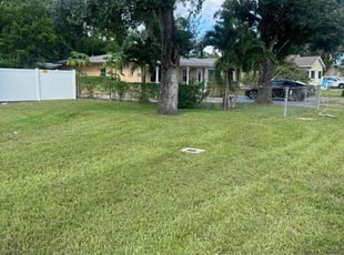 Don Y.'s Lawn Mowing service result