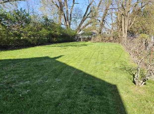 Jennifer E.'s Yard Cutting service result