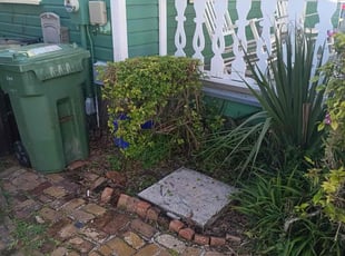 Bush Trimming by Yon Helton for Kelsey G. in St. Augustine, FL