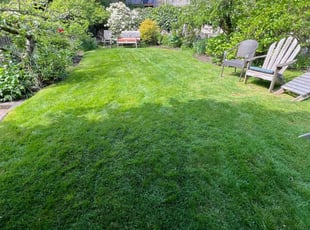 Heather W.'s Lawn Mowing Service service result