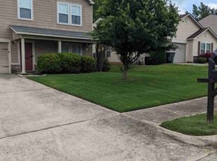 Passion P.'s Lawn Care service result