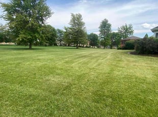 Barbara C.'s Lawn Service service result