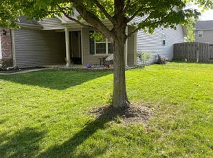 Melissa A.'s Yard Cutting service result