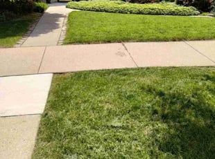 "Kim P.'s Lawn Care service result
