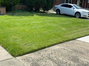 Anthony T.'s Lawn Mowing service result
