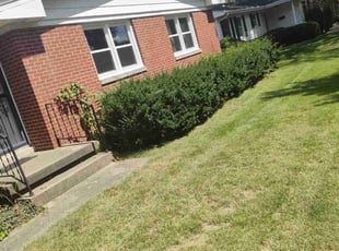 Joseph S.'s Lawn Mowing Service service result