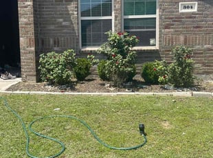 Bush Trimming by Samuel Fogg for Rachita S. in Denton, TX