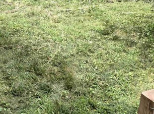 Weeding by Ronald Bell for Lauren L. in Kansas City, MO