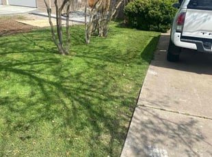 Emily M.'s Lawn Mowing service result
