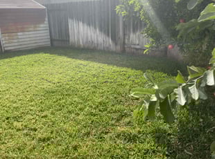 Mark A.'s Lawn Mowing service result