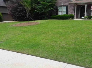 Jessica D.'s Lawn Care service result