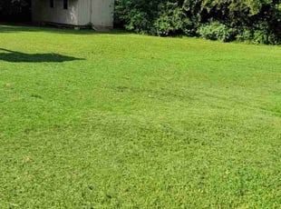 Gene A.'s Lawn Care service result