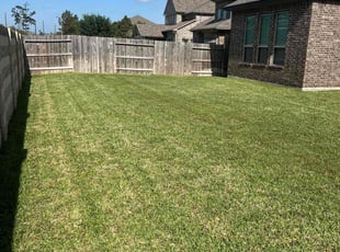 Temmesce P.'s Lawn Mowing service result