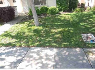 Tehan F.'s Lawn Service service result