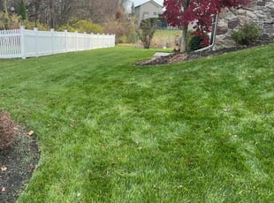 Tiffany N.'s Lawn Mowing Service service result