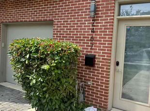 Bush Trimming by Edgar Elmore for Andre M. in Washington, DC