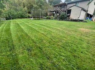 Margaret W.'s Lawn Service service result