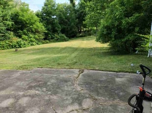 Miranda M.'s Yard Cutting service result