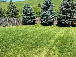 Thomas A.'s Yard Cutting service result