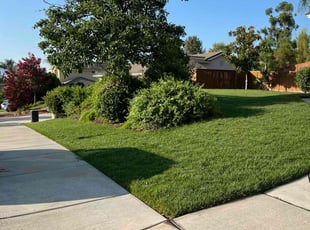 Reynaldo A.'s Lawn Care service result