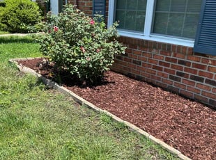 Mulching by Thomas Cottle for Jackie A. in Williamsburg, VA