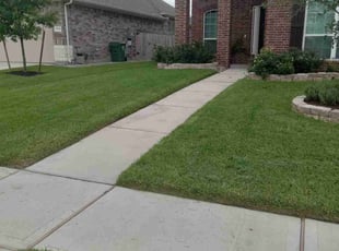 Flora F.'s Lawn Care service result