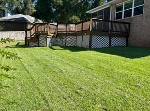 Shirell G.'s Lawn Maintenance service result