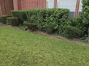 Bush Trimming by Gerome Randle for Jason M. in Mansfield, TX
