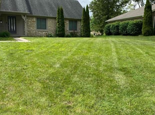 Robert P.'s Grass Cutting service result