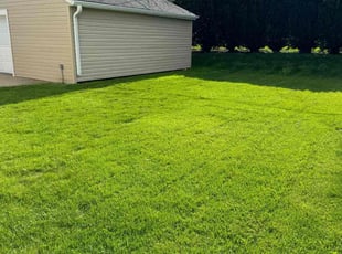 JOHN B.'s Lawn Mowing service result