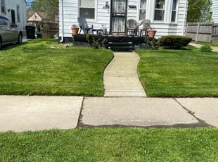 Annesia B.'s Lawn Maintenance service result