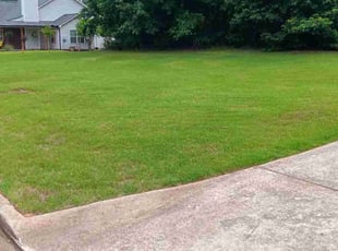 Jewel w.'s Lawn Mowing Service service result