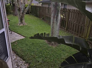Grant G.'s Lawn Care service result