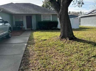 Mindy T.'s Lawn Care service result