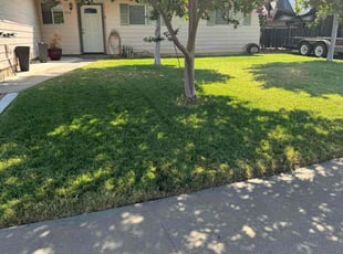 Ariel M.'s Grass Cutting service result