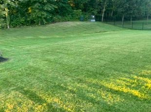 Erica P.'s Lawn Care service result
