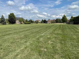 Amy C.'s Lawn Mowing Service service result