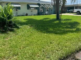 Tyler M.'s Lawn Mowing service result
