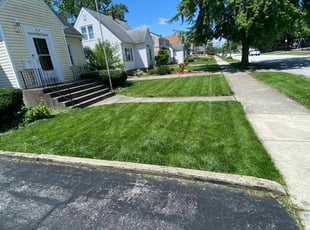 Kanisha E.'s Lawn Mowing service result