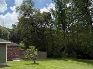 Karli S.'s Lawn Care service result