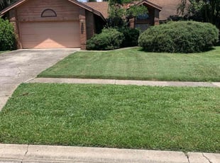 Antoinette M.'s Grass Cutting service result