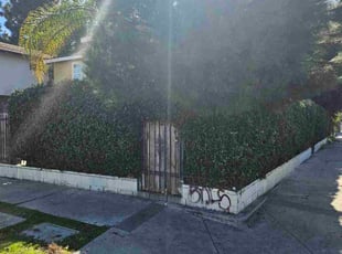 Bush Trimming by Jose Martinez for Bo H. in Los Angeles, CA