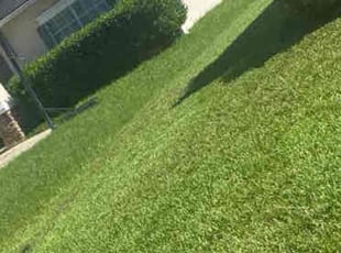 Aletheia C.'s Lawn Service service result