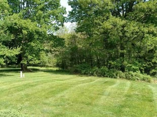 Alston C.'s Lawn Service service result